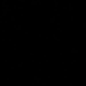 Meet your Posher, Sloane